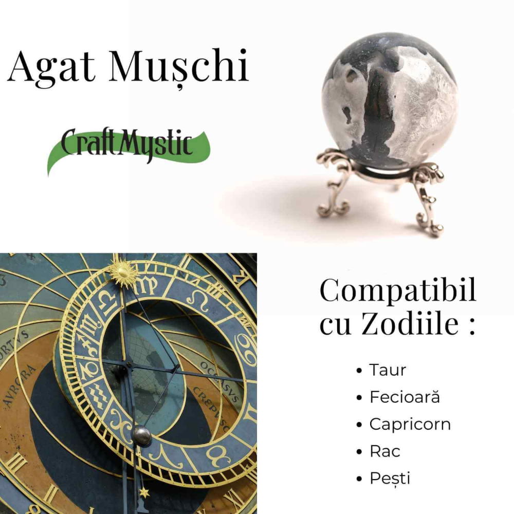 Sfera Moss Agat 50-55 mm - Echilibru si Conexiune cu Natura [5]