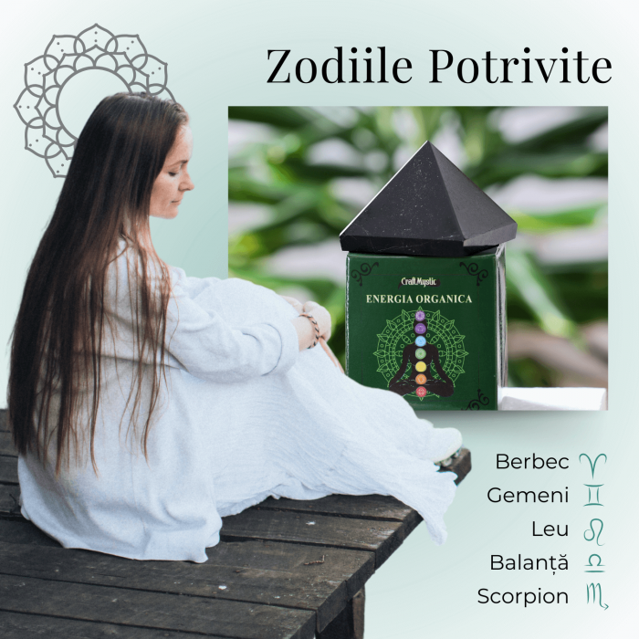 Piramida Sculptata Manual 60mm din Shungit Natural [5]