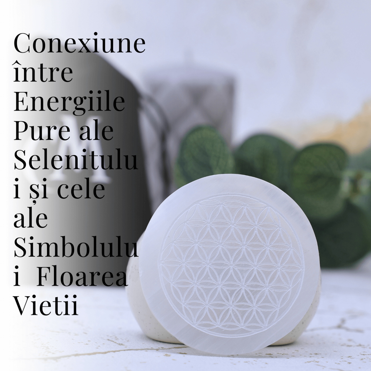 Placa din Selenit Natural pentru Curatare si Incarcare Cristale - Energie Pura [4]