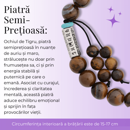 Bratara Elastica cu Margele 6mm din Pietre Semipretioase Ochi de Tigru, Tucurasi si Pandativ [7]