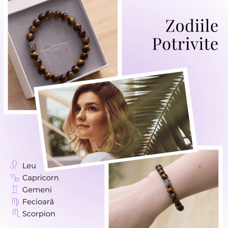 Bratara Elastica cu Margele 6mm din Pietre Semipretioase Ochi de Tigru, Tucurasi si Pandativ [5]