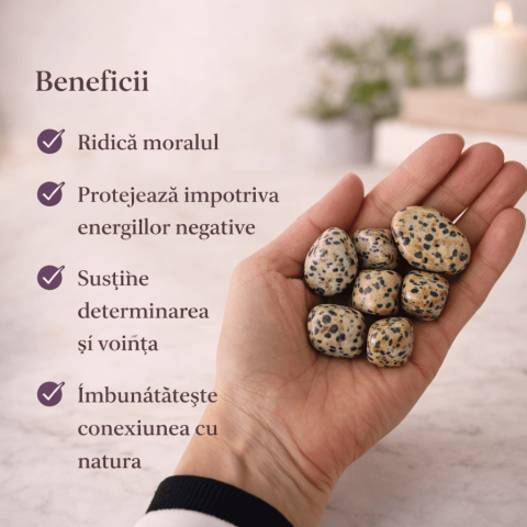 Jasp Dalmatian rulat – o piatra care aduce echilibru, stabilitate si o legatura blanda cu natura [2]