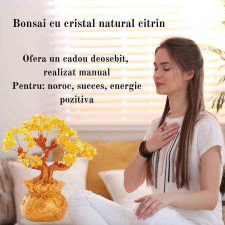 Bonsai cu cristale naturale citrin, supranumit "copacul banilor" - Copacelul cu inaltimea de 25 cm reprezinta cadoul perfect pentru prosperitate, succes, energie pozitiva [5]