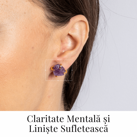 Puterea Linistii – Cercei cu Ametist si Inchidere cu Tija [1]