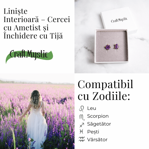 Puterea Linistii – Cercei cu Ametist si Inchidere cu Tija [4]