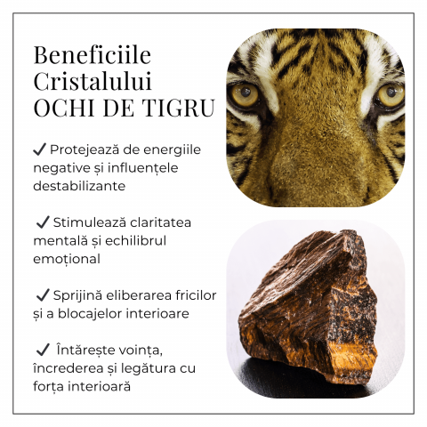 Gardiana curajului – Pisicuta din Ochi de Tigru pentru Protectie si Putere Interioara [4]