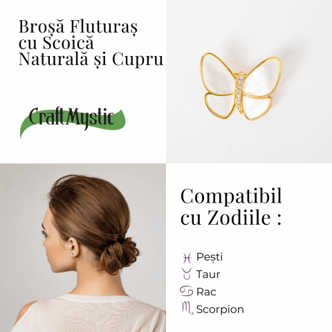 Brosa Fluturas cu Scoica Naturala - Energie Pozitiva si Rafinament [5]