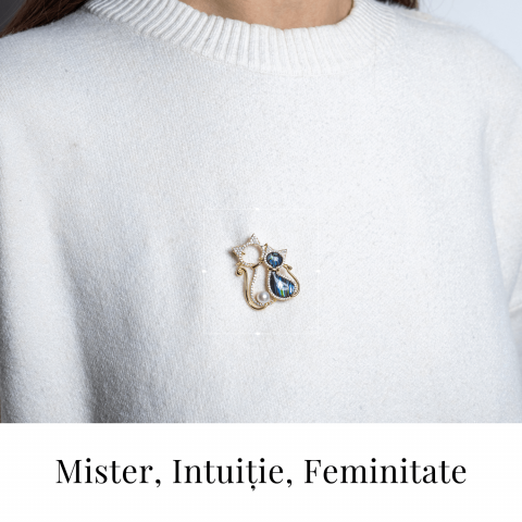 Pisica misterioasa – Brosa cu scoica abalone si perla eleganta [1]