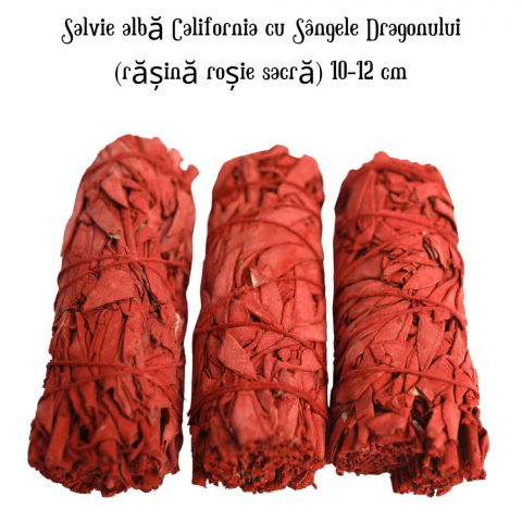 Buchet Salvie Alba California cu Sangele Dragonului - Protectie si Putere Energetica [3]