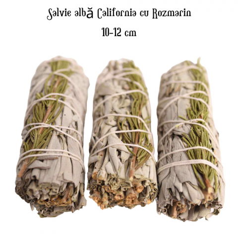 Buchet Salvie Alba California cu Rozmarin - Claritate si Protectie Energetica [3]