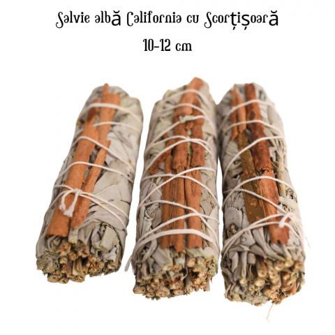 Buchet Salvie Alba California cu Scortisoara - Purificare si Energie Pozitiva [4]