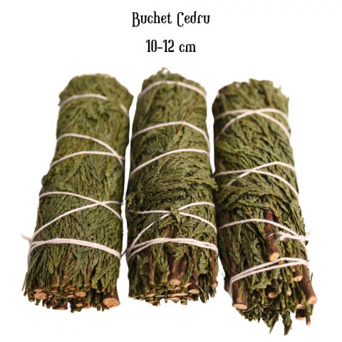 Buchet Cedru - Protectie si Purificare Energetica [3]