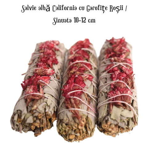 Buchet Salvie Alba California cu Garofite Rosii - Pasiune si Protectie [3]