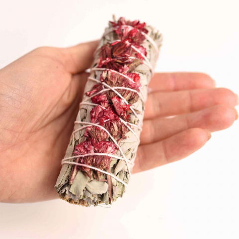 Buchet Salvie Alba California cu Garofite Rosii - Pasiune si Protectie [4]