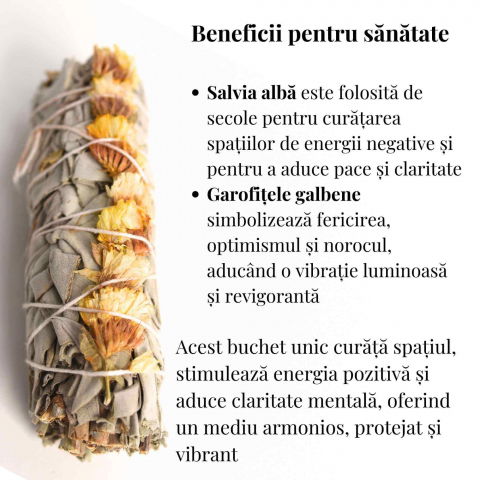 Buchet Salvie Alba California cu Garofite Galbene/Sinuata - Energie Pozitiva si Claritate [2]