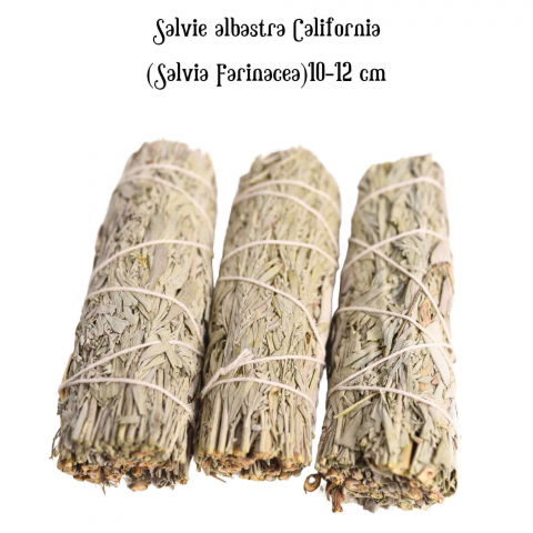 Buchet Salvie Albastra California - Protectie si Claritate Mentala [3]