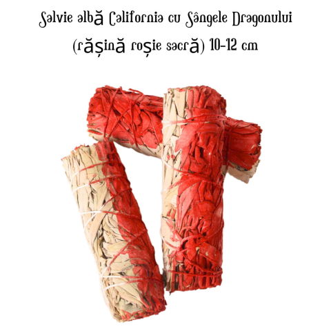 Salvie Alba cu Sangele Dragonului – Buchet Ritualic pentru Purificare si Protectie [3]