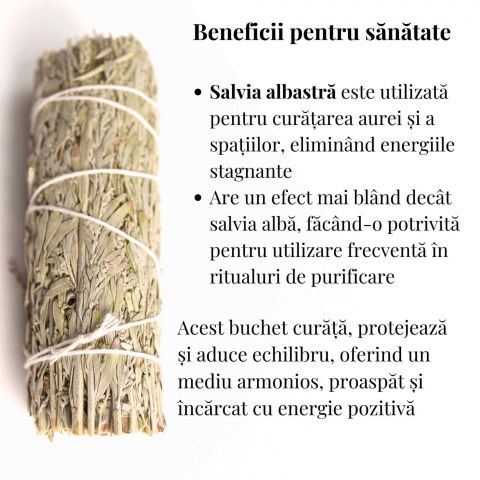 Buchet Salvie Albastra California - Protectie si Claritate Mentala [2]