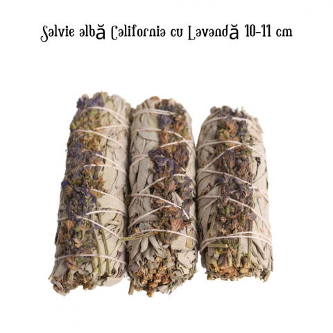 Buchet Salvie Alba California cu Lavanda 10-11 cm- Pacea si Purificarea [3]