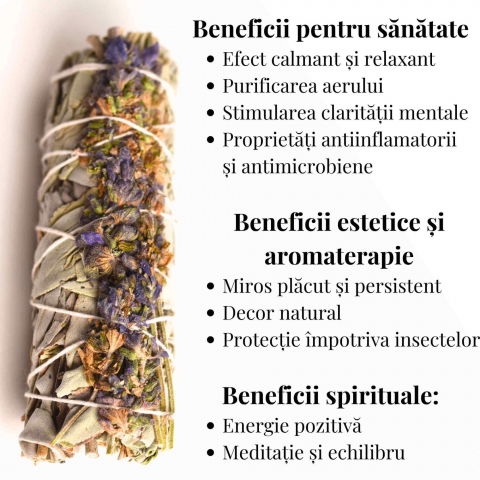 Buchet Salvie Alba California cu Lavanda 10-11 cm- Pacea si Purificarea [2]