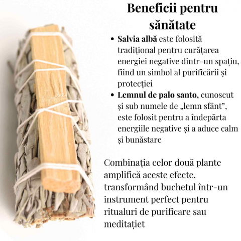Buchet Salvie Alba California cu lemn Palo Santo – Purificare si Energie Pozitiva [2]