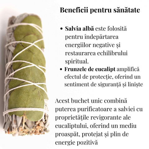 Buchet Salvie Alba California cu Frunze de Eucalipt - Purificare si Revitalizare [2]