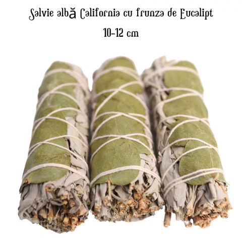 Buchet Salvie Alba California cu Frunze de Eucalipt - Purificare si Revitalizare [3]