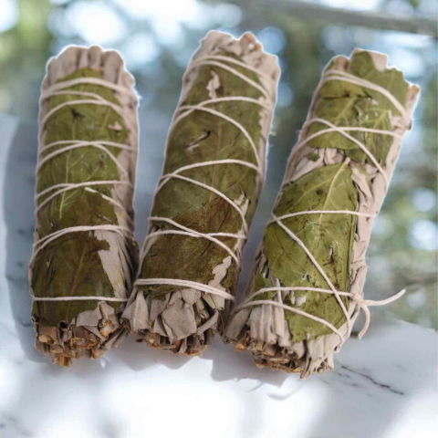 Buchet Salvie Alba California cu Busuioc - Purificare si Armonie Energetica [3]