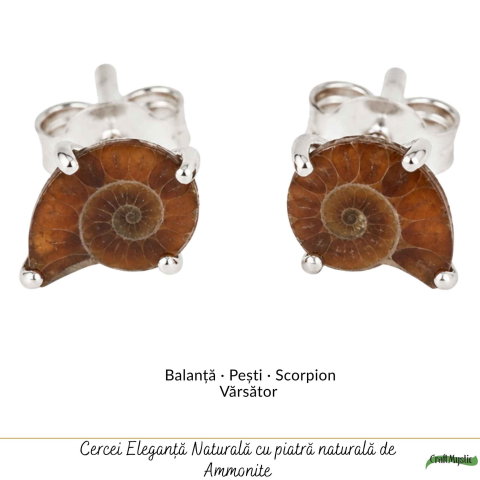 Cercei Argint 925 cu Amonit Natural în Forma de Melc – Echilibru si Evolutie [4]