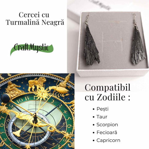 Cercei cu Turmalina Neagra model Aripa – Protectie si Eleganta Naturala [3]