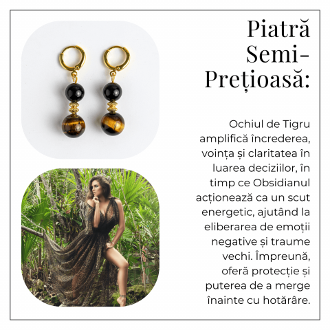 Echilibru si Putere – Cercei cu Ochi de Tigru si Obsidian [5]