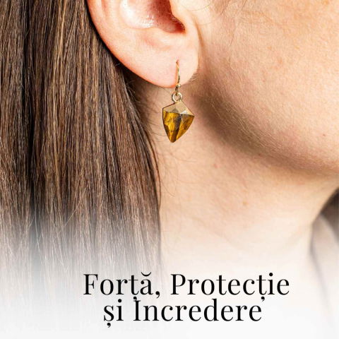 Cercei Eleganti cu Ochi de Tigru Natural Fatetat - Protectie si Claritate [1]