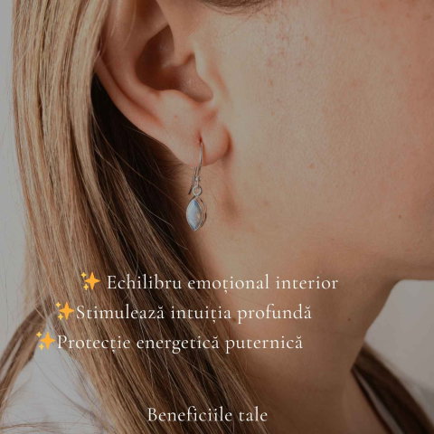 Cercei Labradorit fatetat in forma Delica si Argint 925 – Protectie si Intuitie Naturala [2]
