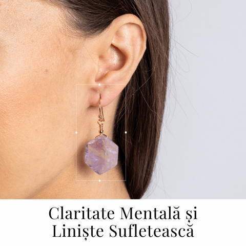 Claritate si Liniste – Cercei cu Ametist Hexagonal [1]