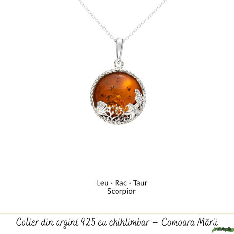 Colier argint 925 rotund cu chihlimbar natural – Energie solara si echilibru [4]