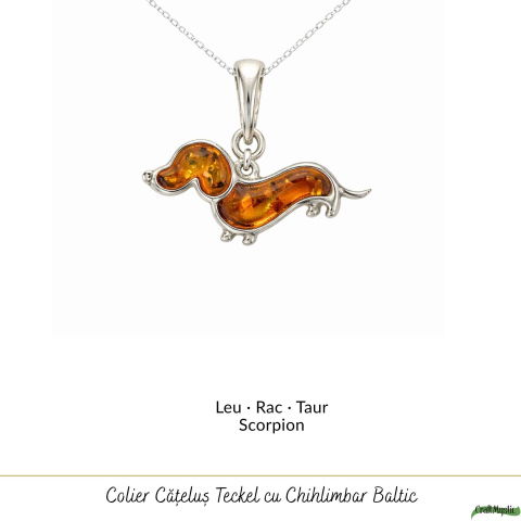 Colier Argint 925 Catel Teckel cu Chihlimbar Natural – Bucurie si Vitalitate [4]
