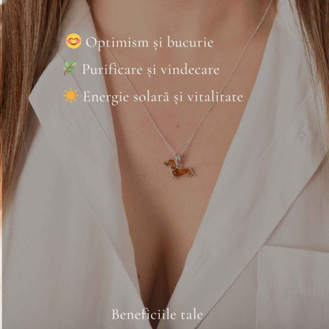 Colier Argint 925 Catel Teckel cu Chihlimbar Natural – Bucurie si Vitalitate [3]