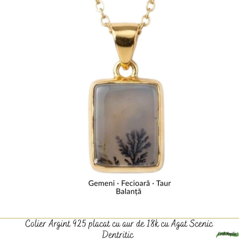 Colier Argint 925 Placat Aur 18K cu Agat Scenic Dendritic Dreptunghi – Echilibru si Claritate [4]