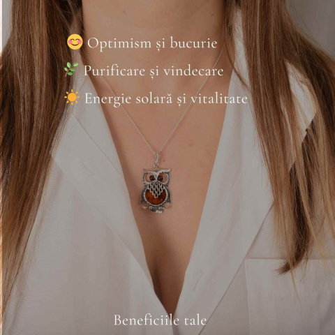 Colier argint 925 Bufnita cu chihlimbar natural – Claritate si vitalitate [2]