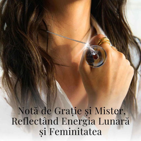 Colier Argintiu cu Ochi de Tigru Forma Pi - Protectie si Energie, Lungime Totala 50 cm, Diametru Pandantiv 20 mm [4]