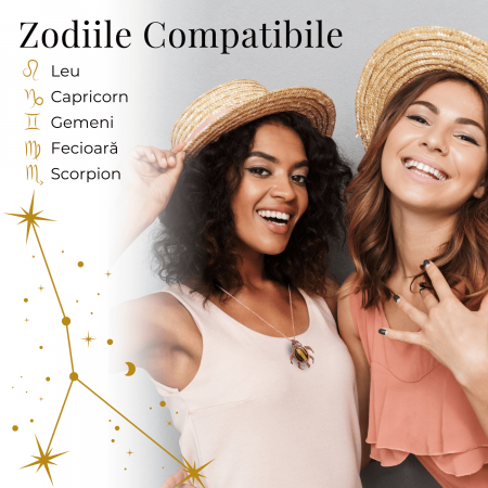 Colier Ajustabil Handmade cu Cristal de Ochi de Tigru in Broscuta Impletita – Lungime Maxima 45 cm [4]