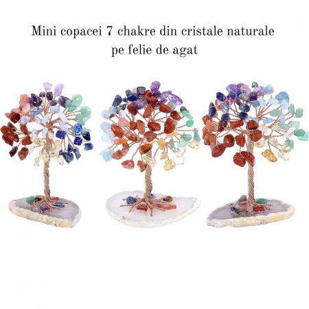 Mini Copacel pietre semipretioase 7 chakra pe felie de agat – decor cristal feng shui, accesorii pentru birou, cristale pentru meditatie [2]