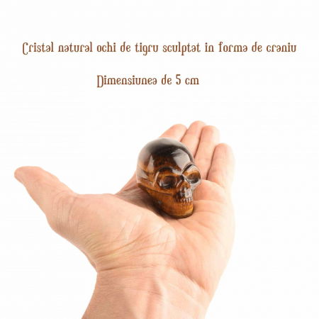 Craniu 5 cm sculptat manual din cristal de Ochi de tigru piatra semipretioasa vindecatoare Figurină artistica pentru decor de Halloween, decoraratiune pentru biroul de acasa [1]