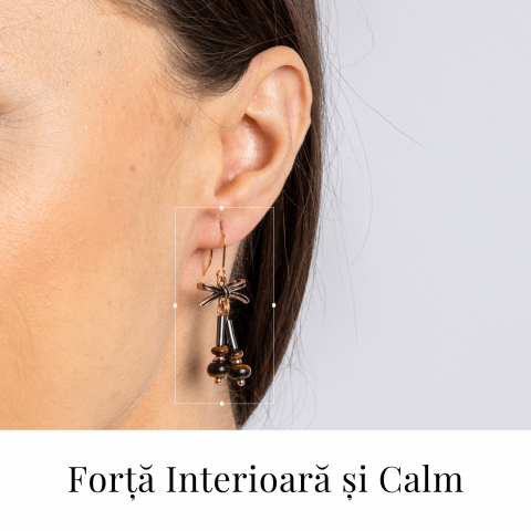 Forta Interioara si Calm – Cercei cu Hematit si Ochi de Tigru [1]