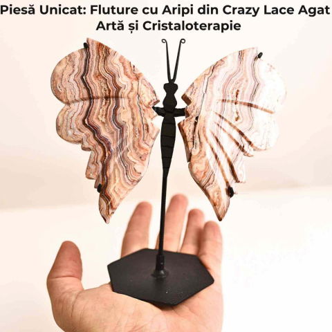 Fluture cu aripi din Crazy Lace Agat – Simbol al transformarii si frumusetii naturale [4]