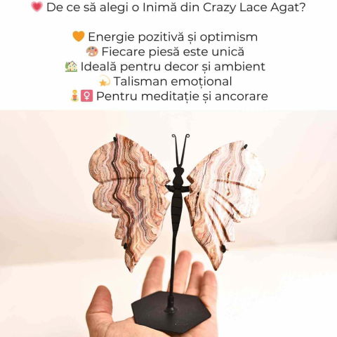 Fluture cu aripi din Crazy Lace Agat – Simbol al transformarii si frumusetii naturale [2]
