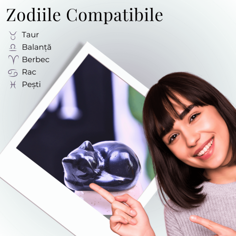 Figurina Pisicuta Adormita 4 cm din Obsidian Natural - Protectie si Liniste [5]