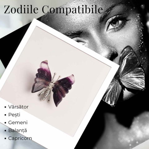 Figurina Fluture din Fluorit Curcubeu - Claritate și Echilibru [2]