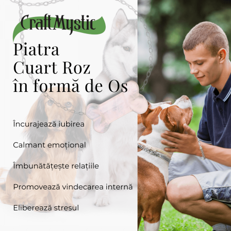 Figurina in Forma de Os din Cristale Naturale - Ametist, Ochi de Tigru, Obsidian si Cuart Roz, 30mm [23]