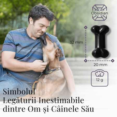 Figurina in Forma de Os din Cristale Naturale - Ametist, Ochi de Tigru, Obsidian si Cuart Roz, 30mm [29]